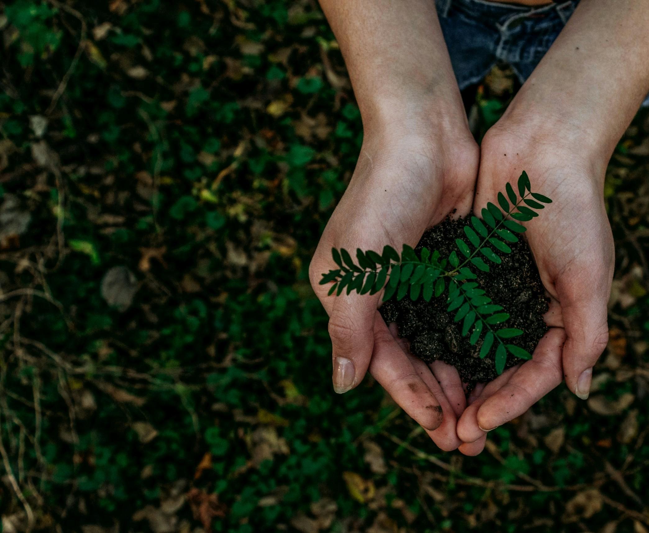 Corporate Social Responsibility Activities